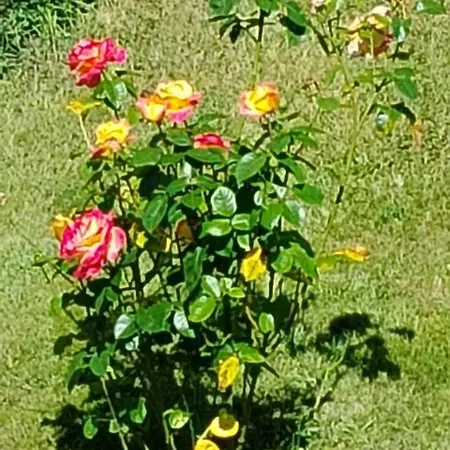 Bed and breakfast Seigneurie De Baulne-en-Brie